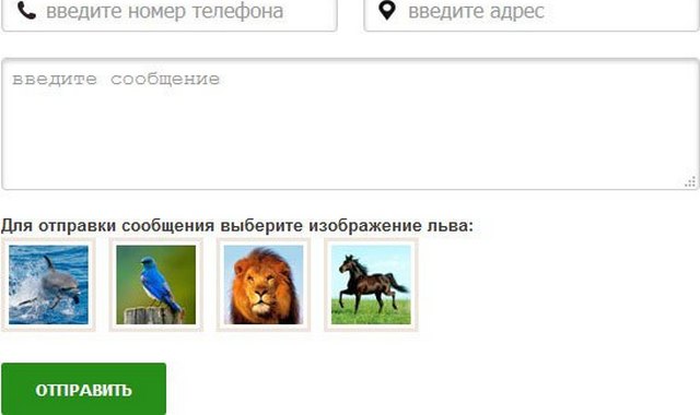 Пример образной капчи