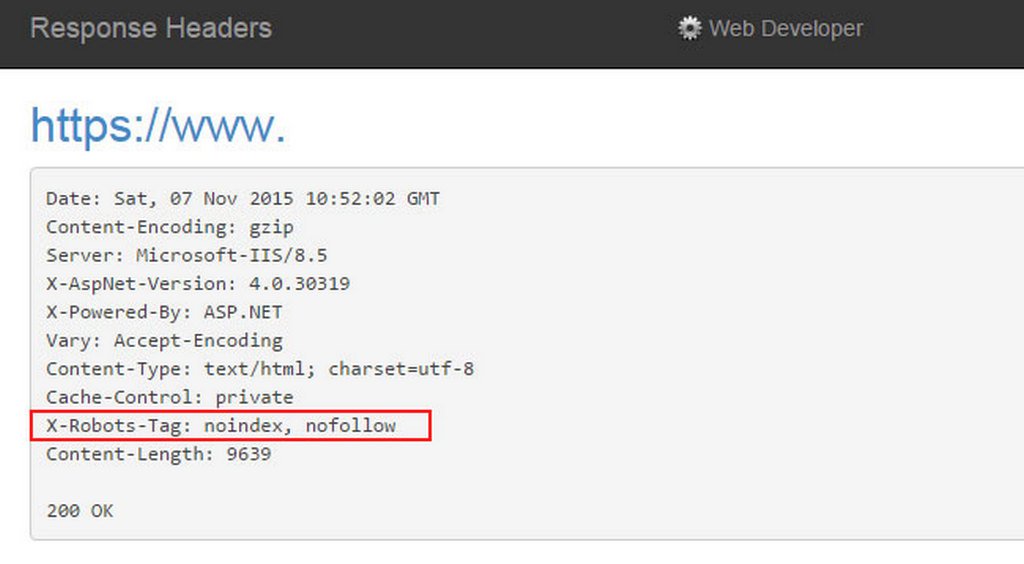 Плагин web developer для проверки x-robots-tag