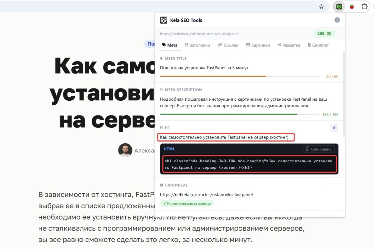 Просмотр кода h1 с помощью расширения Kela SEO Tools