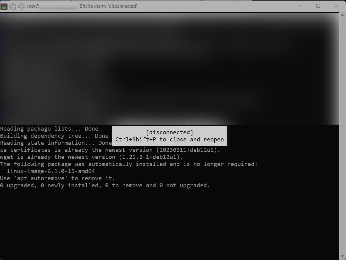Завершение обновление debian и wget