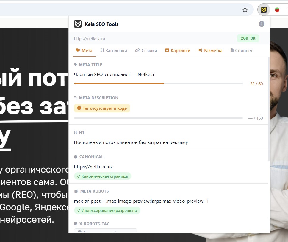 Пример отображение проблем через расширение Kela SEO Tools