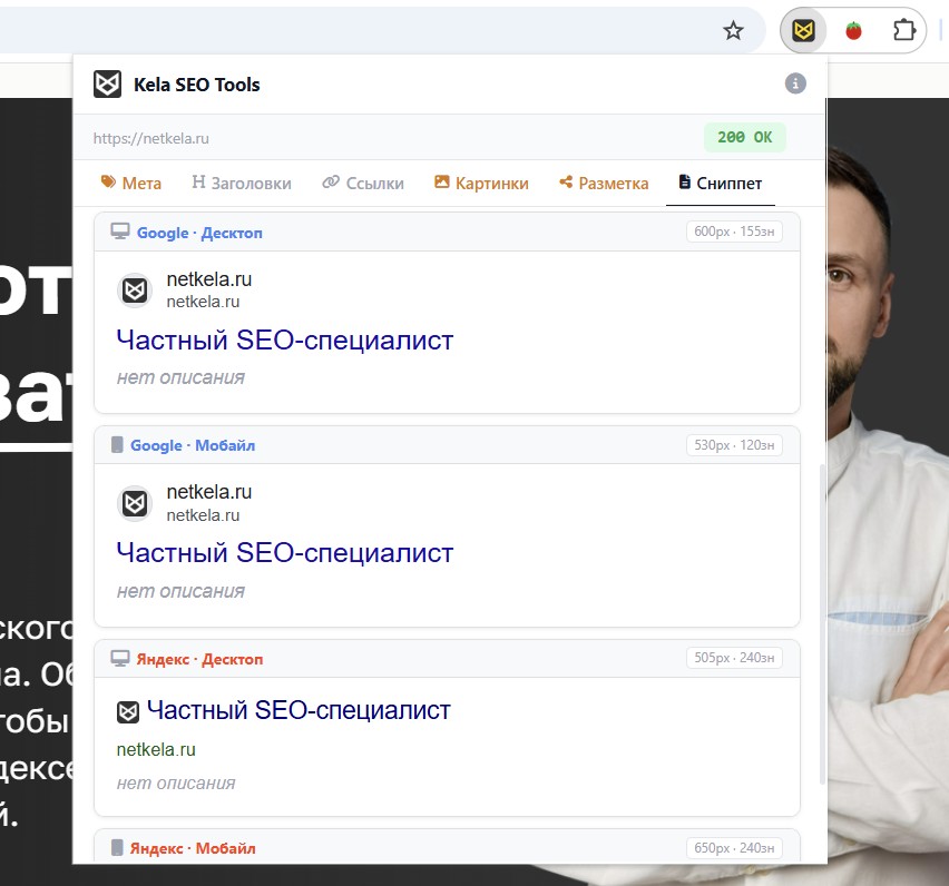 Пример отображения сниппета в Kela SEO Tools