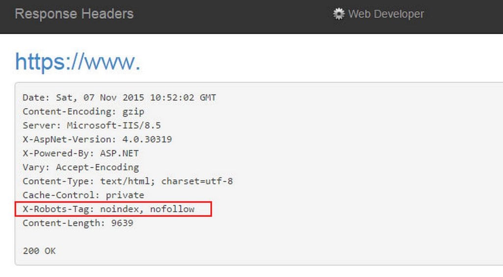 Плагин web developer для проверки x-robots-tag